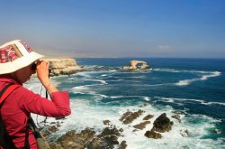 Región de Antofagasta recibirá $2 mil millones en subsidios para el sector turismo