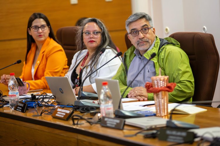 Programa GORE: Consejo Regional aprobó más de mil millones para financiar iniciativa “Control de sobrepoblación y educación en tenencia responsable de mascotas”