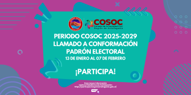 Consejo de la Sociedad Civil (COSOC) periodo 2025-2029.