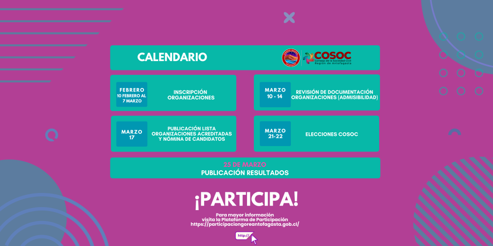 Consejo de la Sociedad Civil (COSOC) periodo 2025-2029.