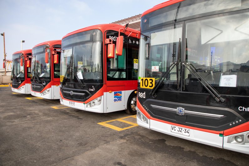 Gore Antofagasta: Línea 103 de Antofagasta recibió 12 nuevos buses eléctricos que ya se encuentran operativos