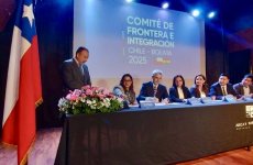 La Unidad de Asuntos Internacionales del Gobierno Regional participó en la “XVII Reunión del Comité de Frontera e Integración Chile-Bolivia”